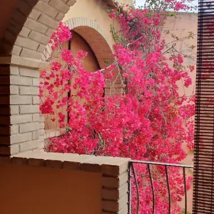 P.piano - Centro Paese Villasimius